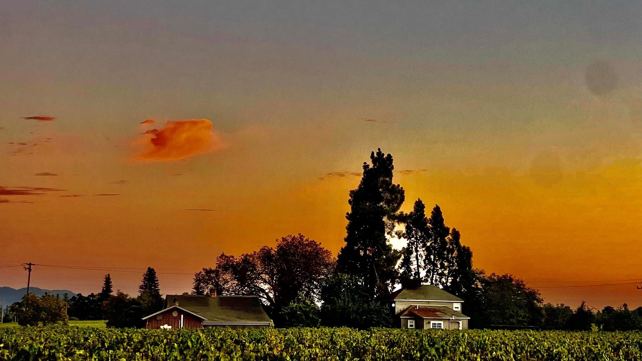 Photo of Outdoor in Napa
