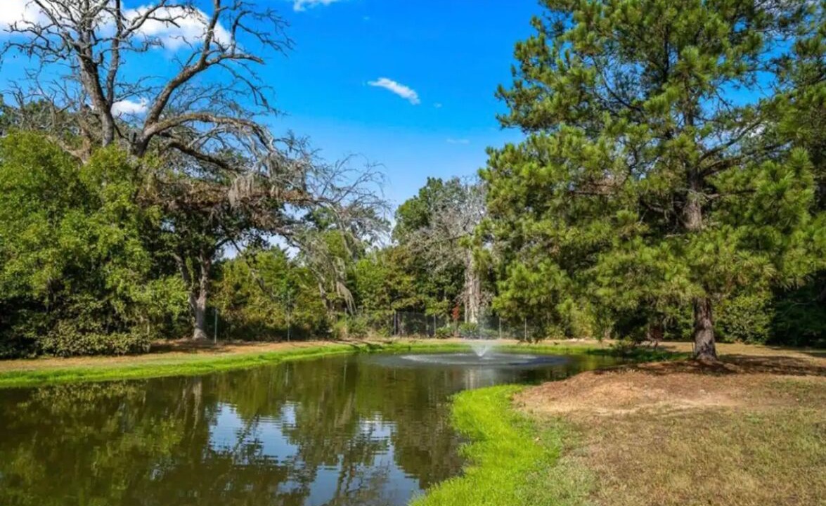 Photo of Outdoor in Pointblank