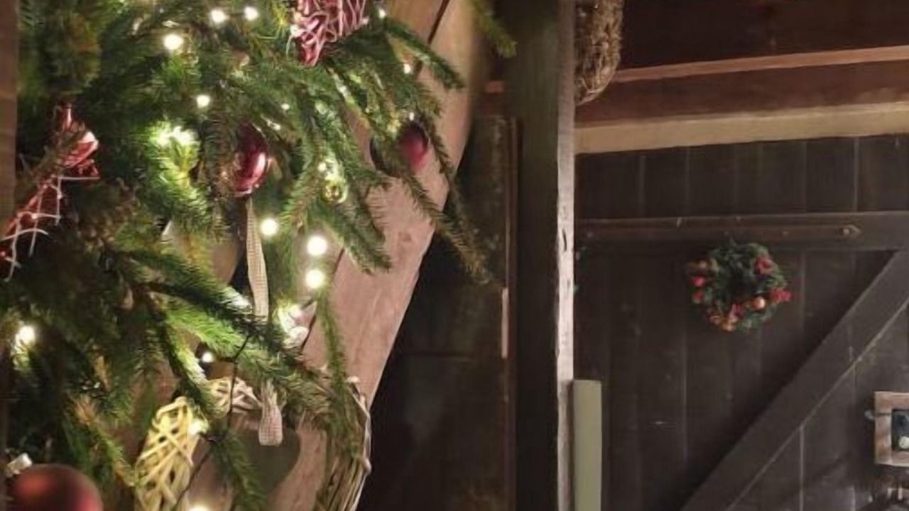 Photo of Others in Wittelsheim