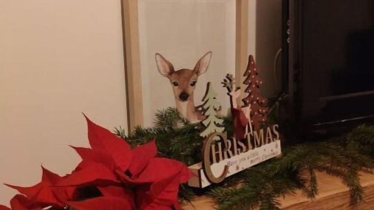 Photo of Others in Wittelsheim