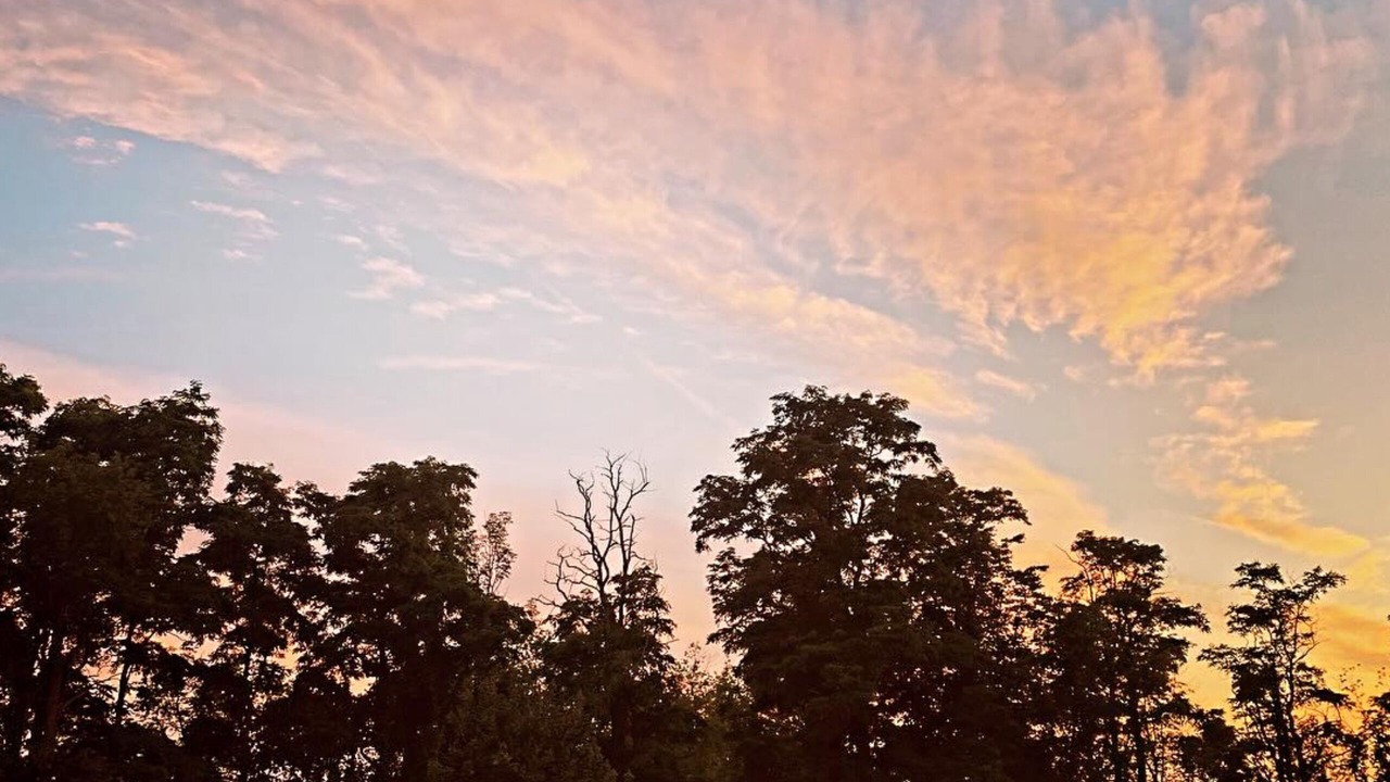 Photo of Outdoor in Lodi