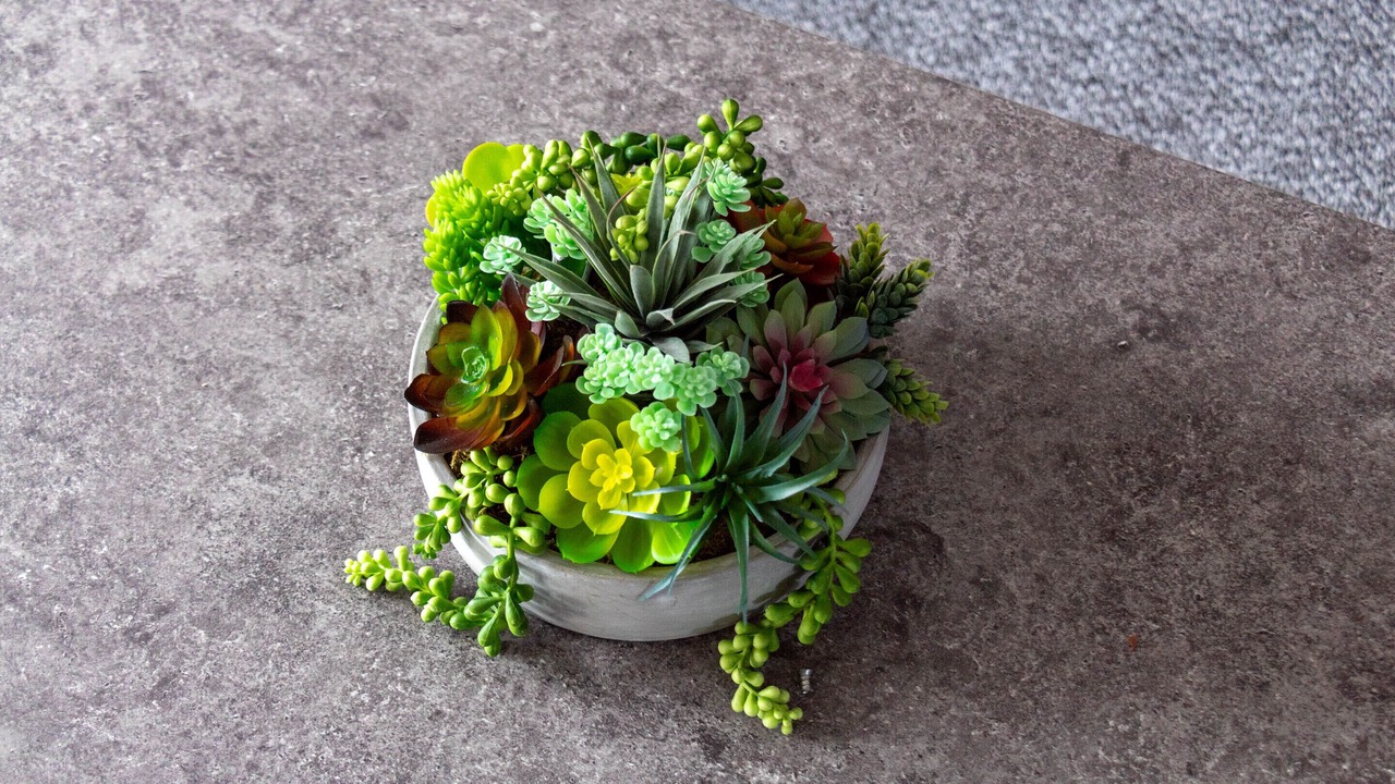 Photo of Others in Blantyre