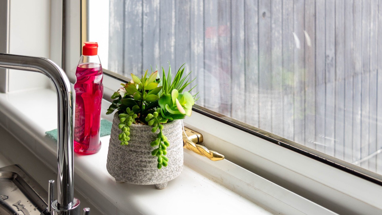 Photo of Others in Blantyre