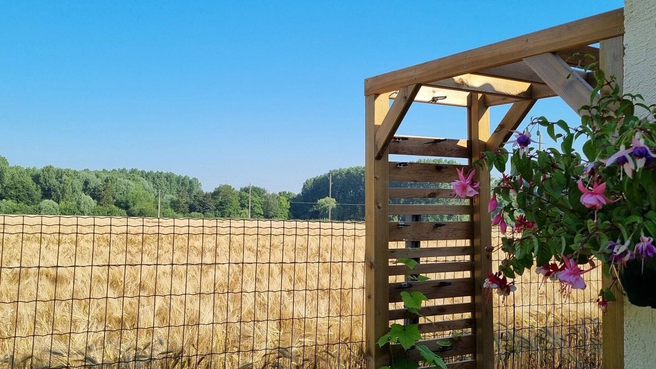 Photo of Outdoor in Hasnon