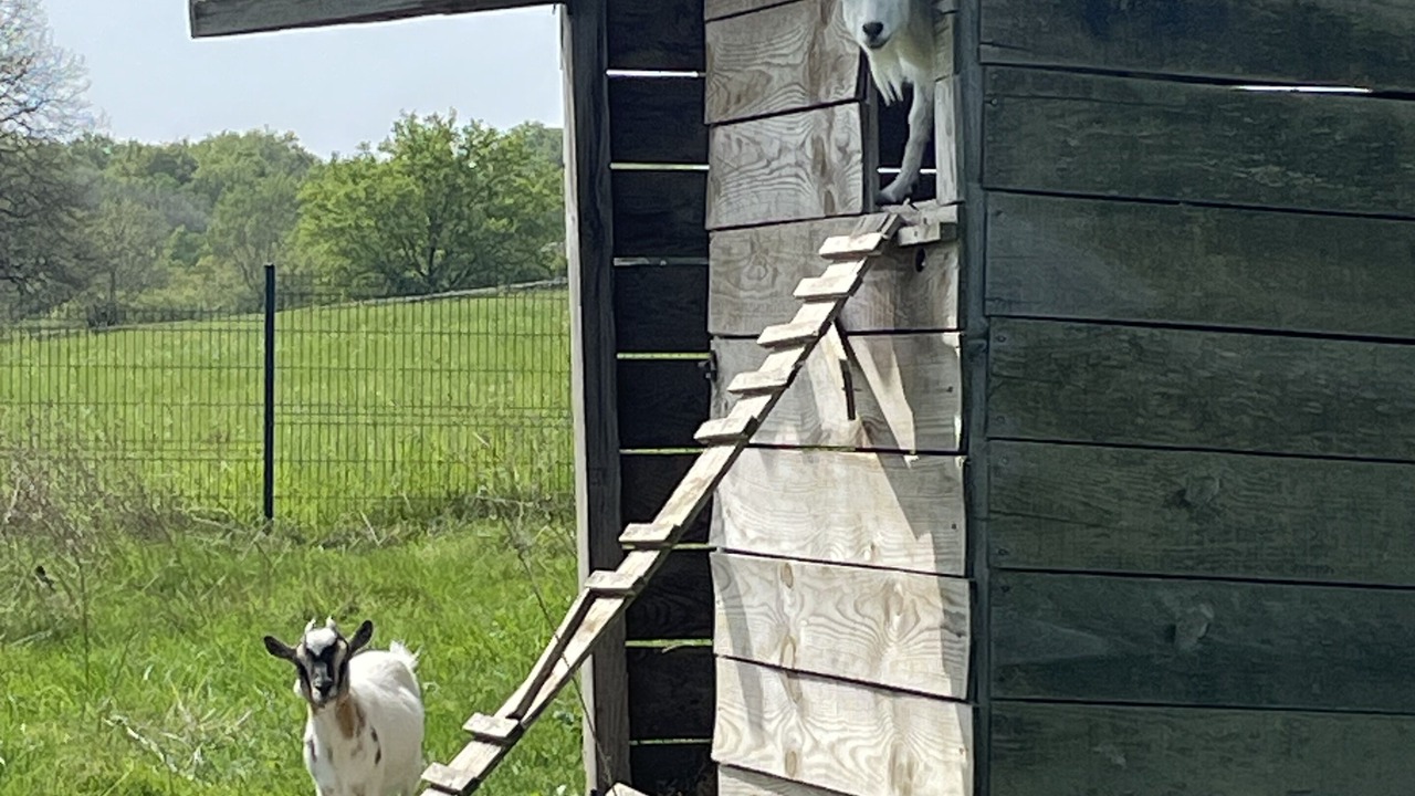 Photo of Outdoor in Fosses-et-Baleyssac