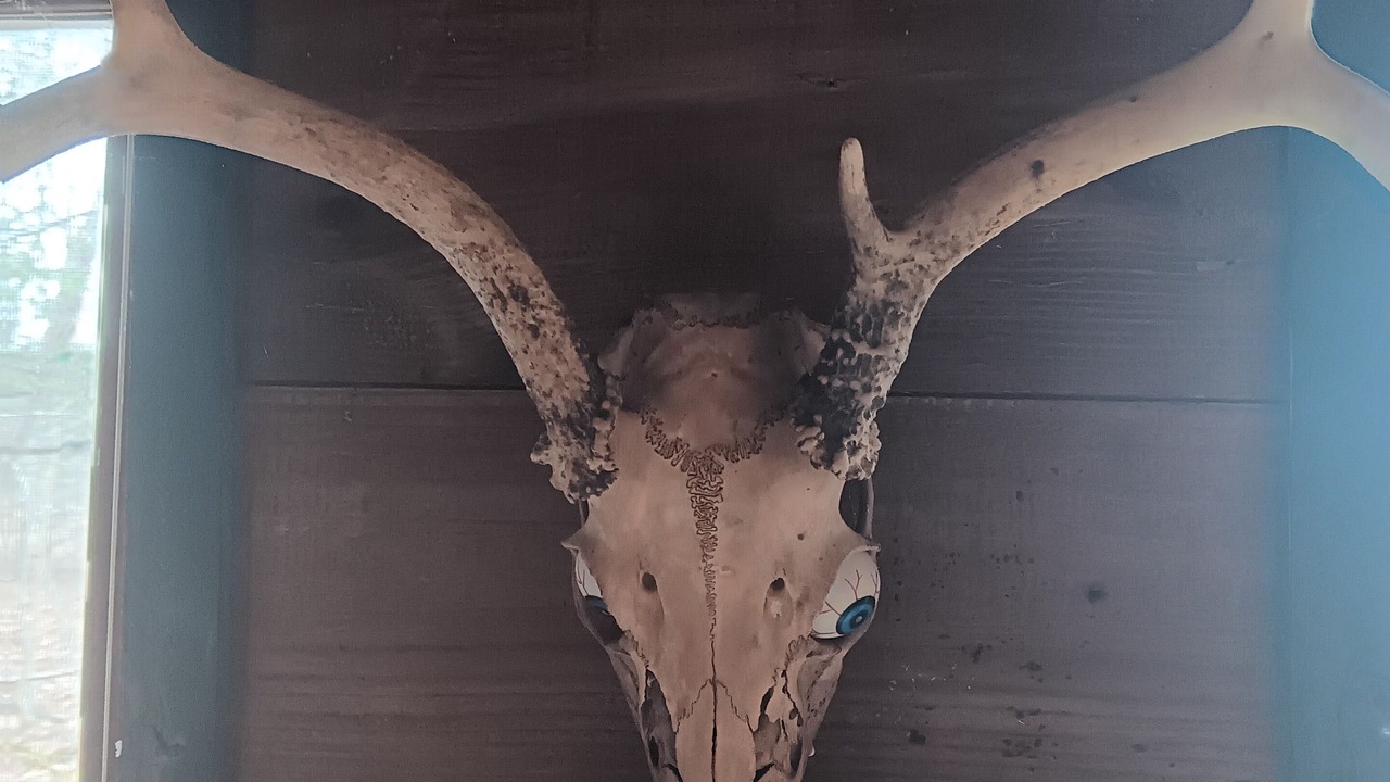 Photo of Others in Canajoharie