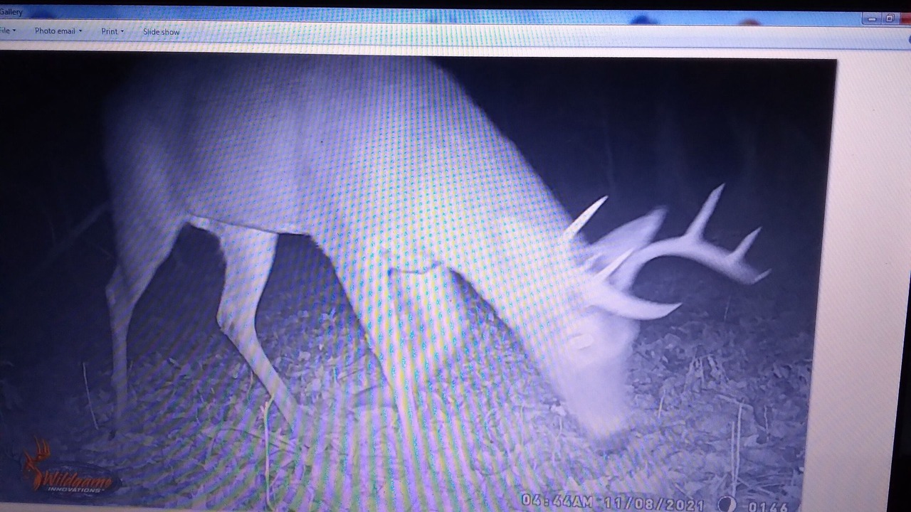 Photo of Others in Canajoharie