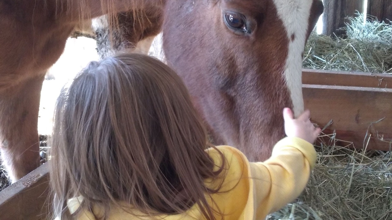 Photo of Bathroom in Canajoharie