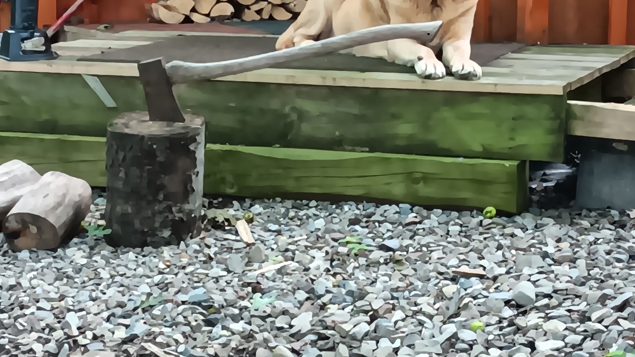 Photo of Outdoor in Canajoharie