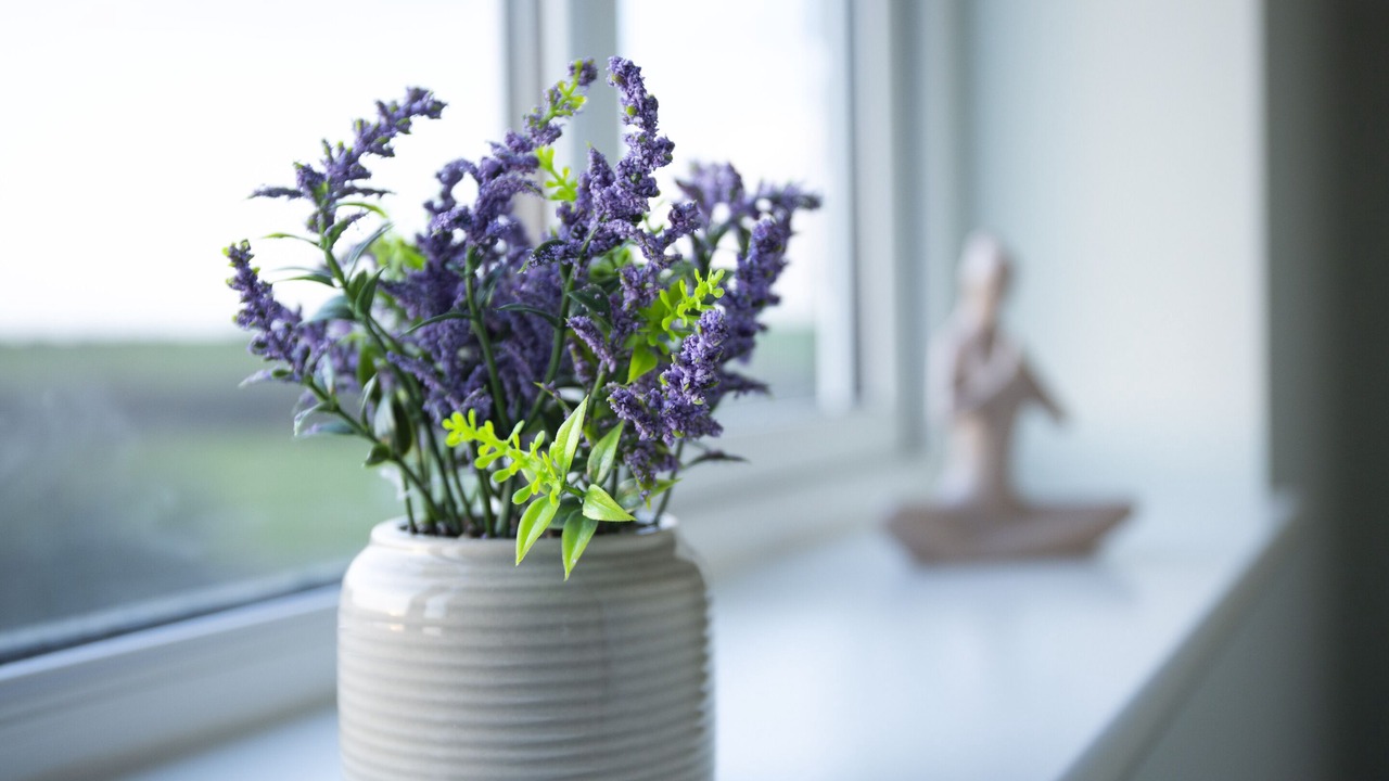 Photo of Others in Stratford-upon-Avon