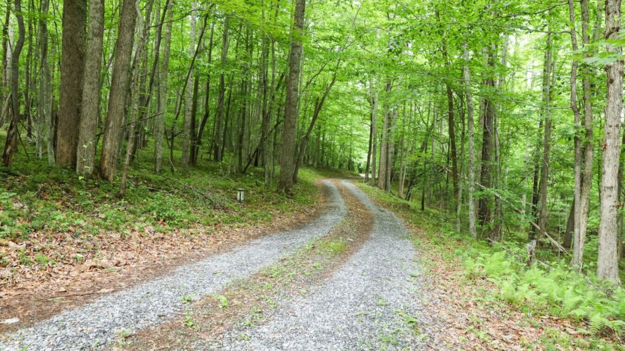 Photo of Others in Peters Creek