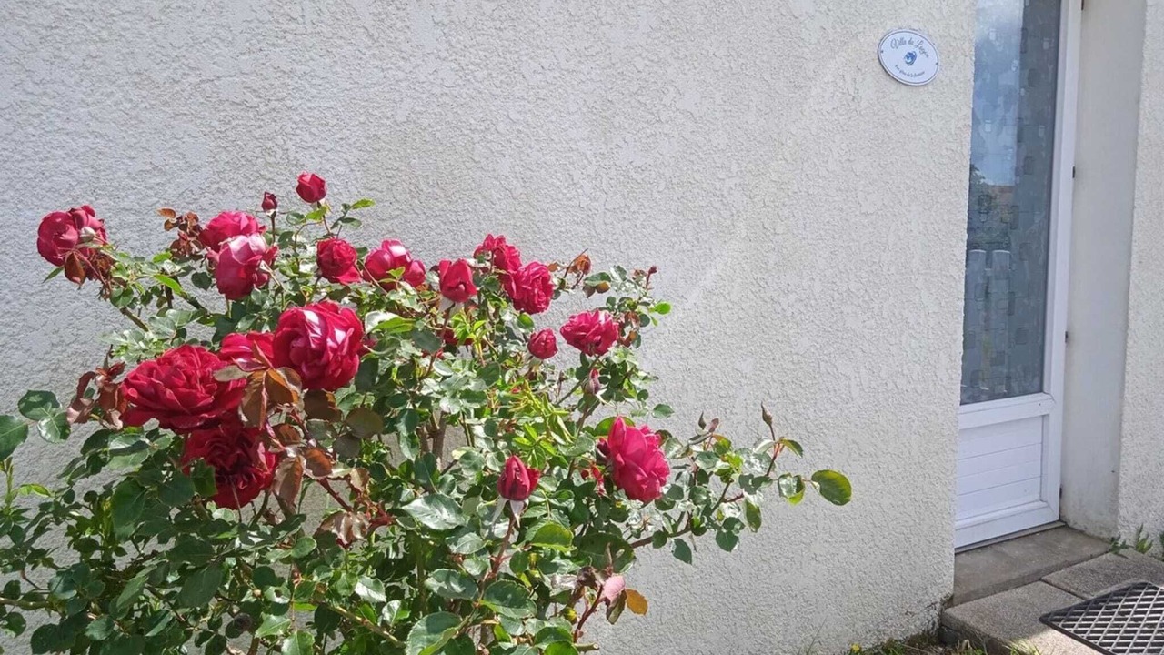 Photo of Outdoor in Saint-Michel-en-l'Herm