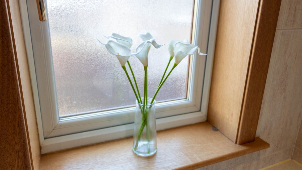 Photo of Others in Grangemouth