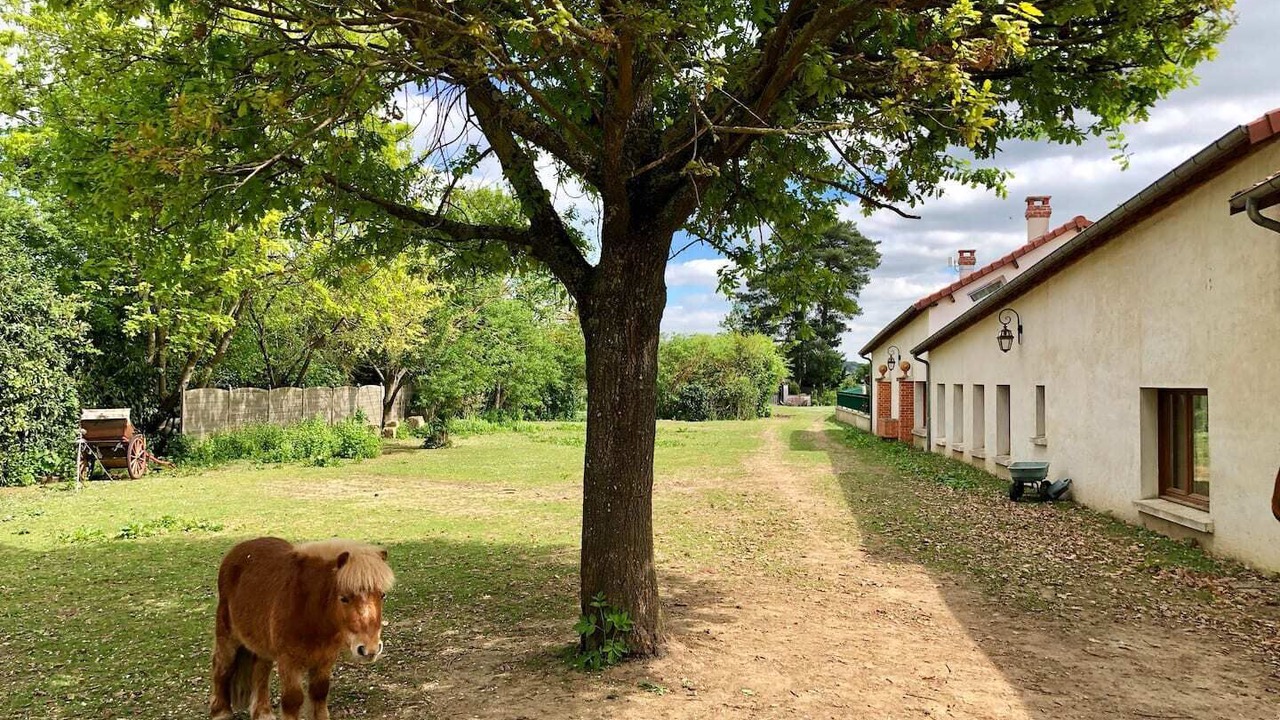 Photo of Outdoor in Connelles