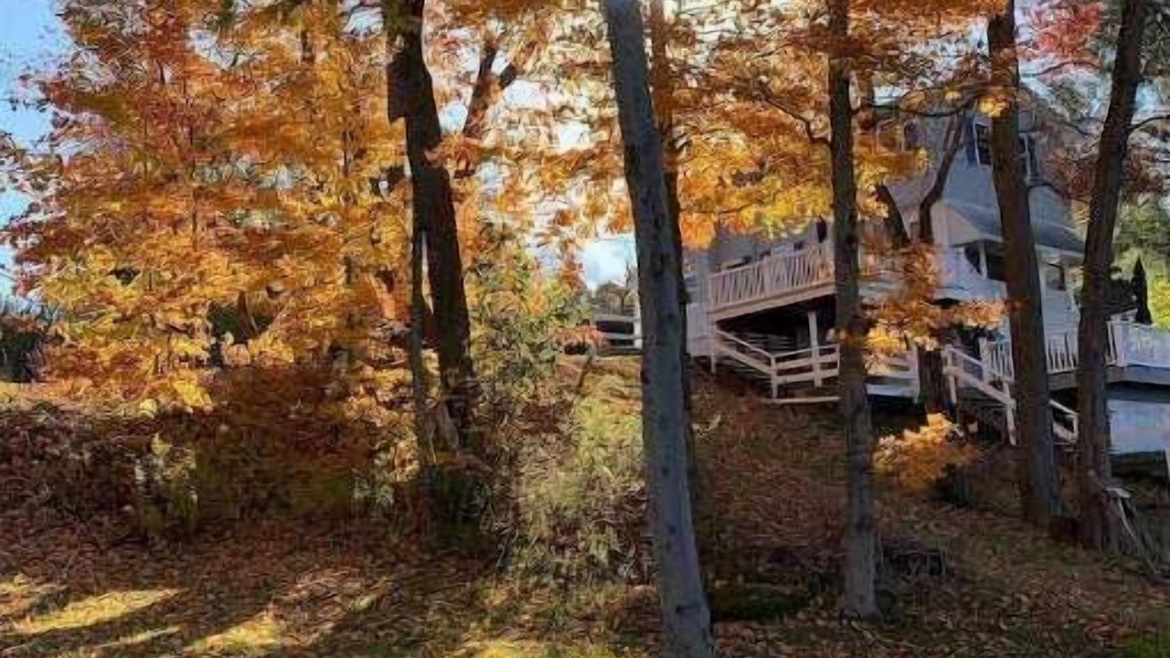 Photo of Outdoor in Carbondale