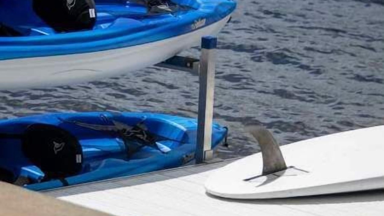 Photo of Others in Carbondale