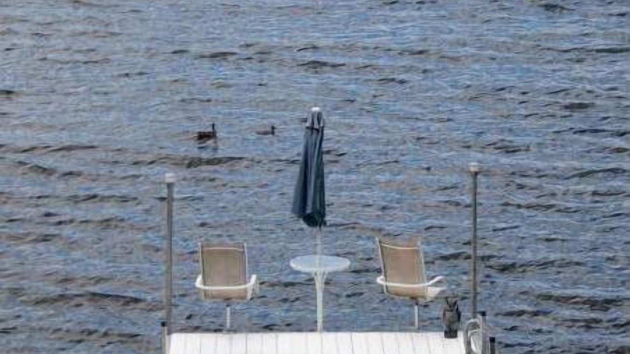 Photo of Others in Carbondale