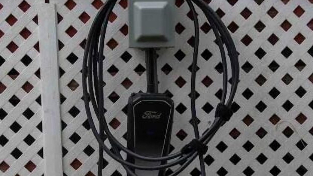 Photo of Others in Carbondale