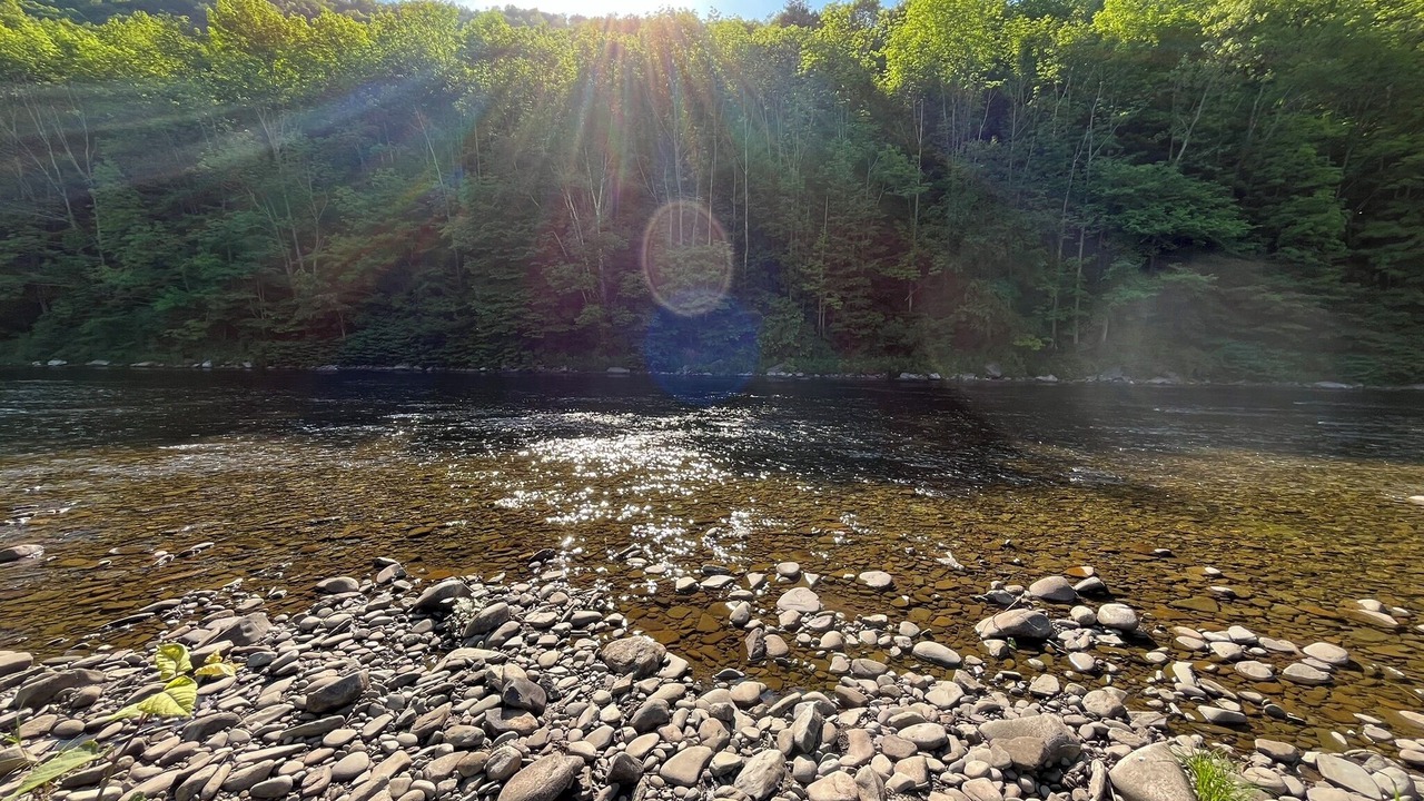 Photo of Others in Shinhopple