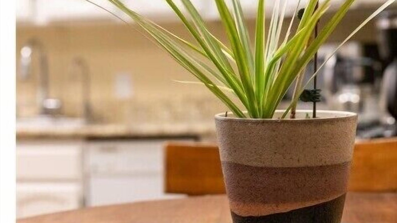 Photo of Others in Midtown Sacramento