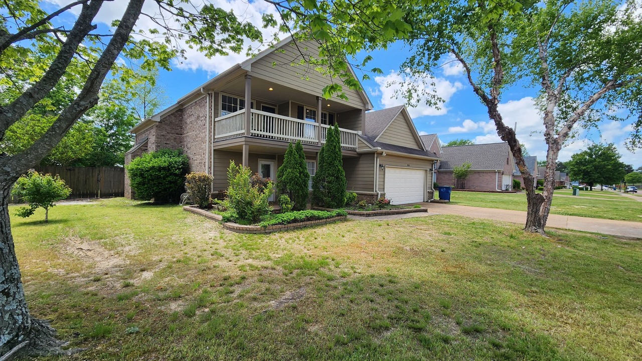 Photo of Outdoor in Olive Branch