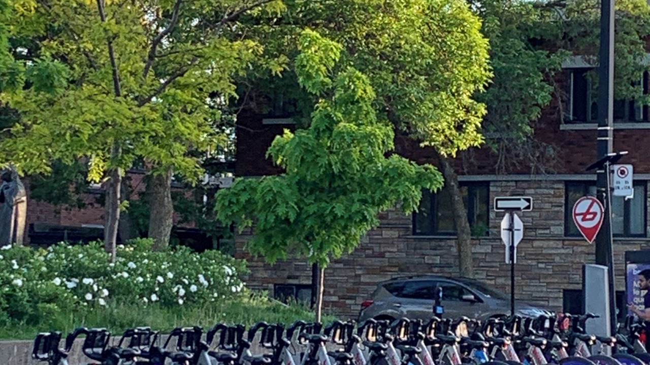 Photo of Outdoor in Cote-Saint-Paul