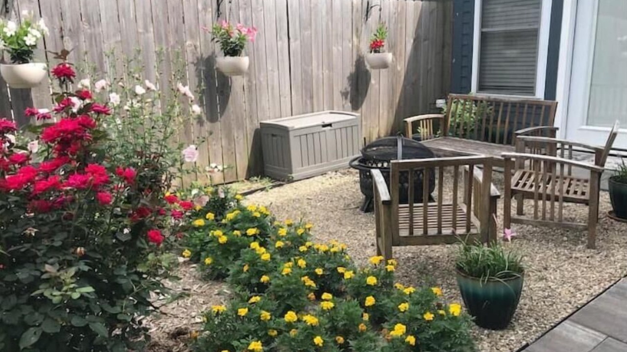 Photo of Outdoor in Hayden