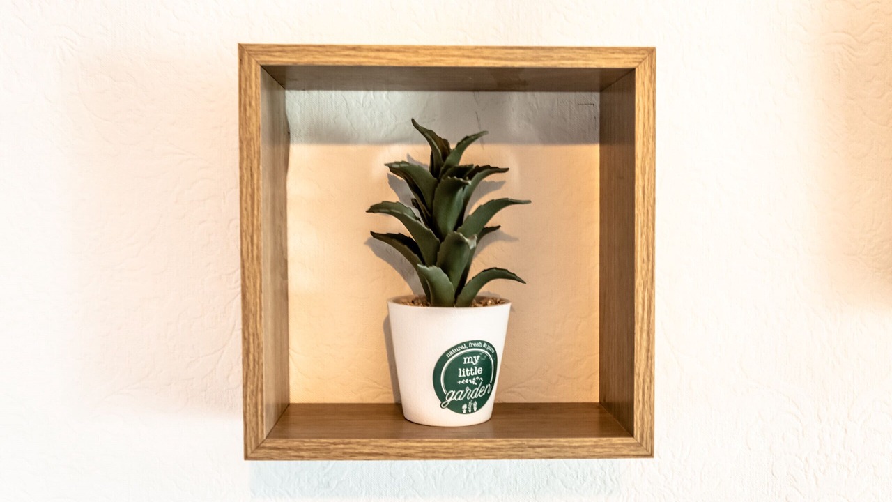 Photo of Others in Brive-la-Gaillarde