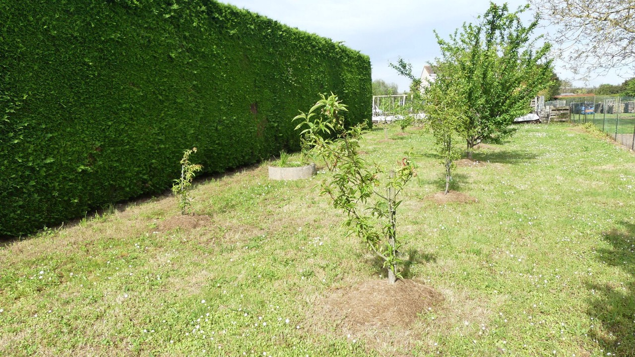 Photo of Outdoor in Saint-Cyr-en-Talmondais