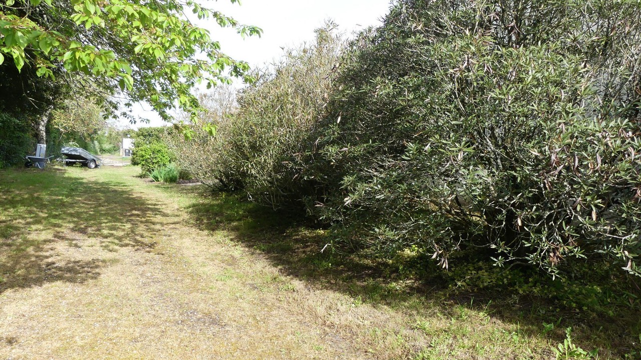 Photo of Outdoor in Saint-Cyr-en-Talmondais