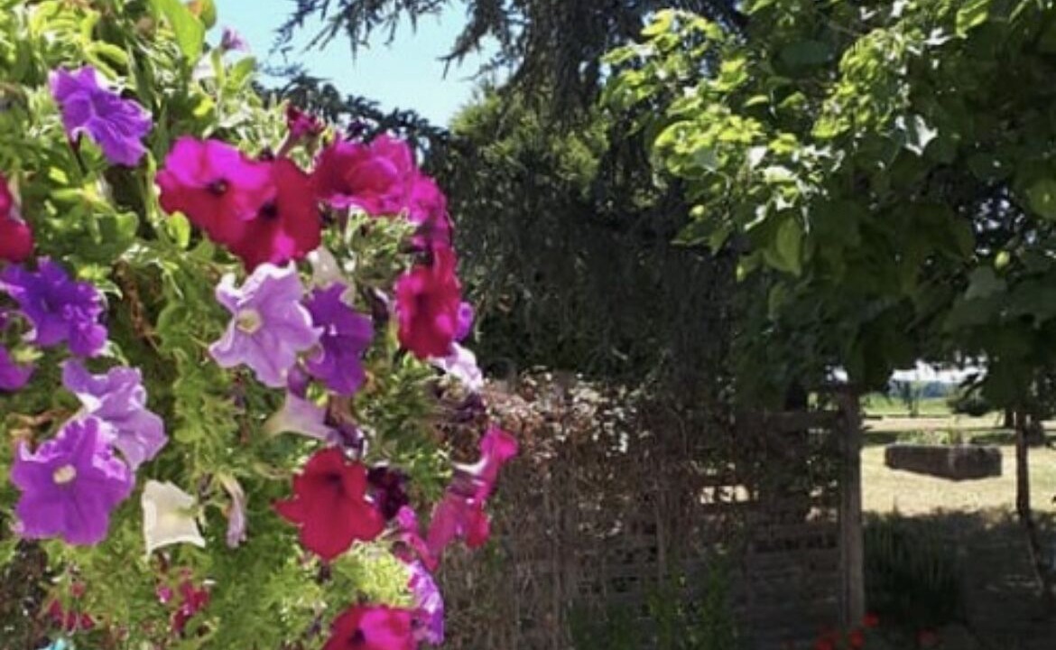 Photo of Outdoor in Juignac