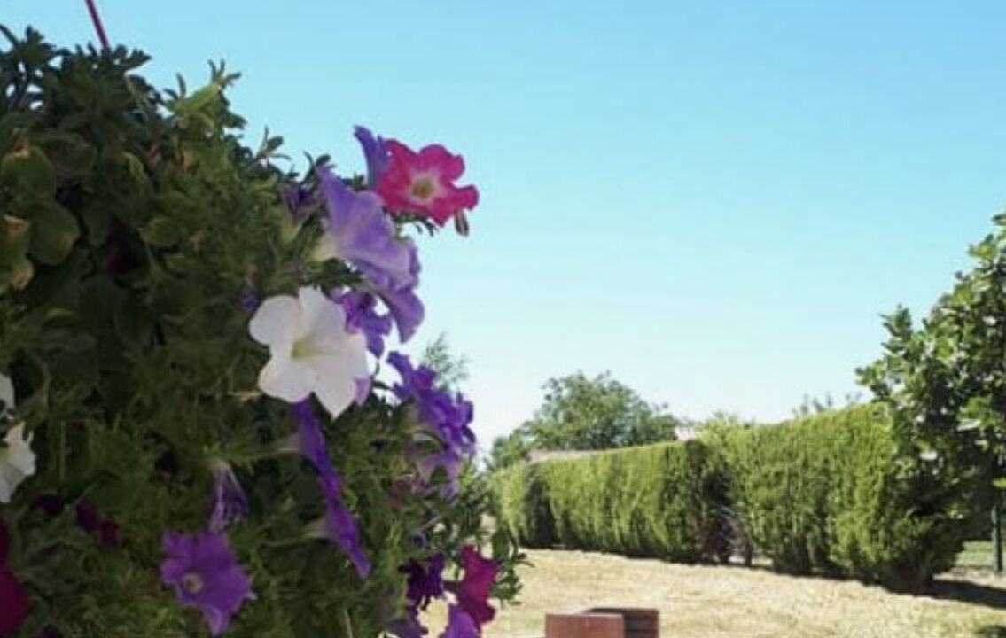 Photo of Outdoor in Juignac