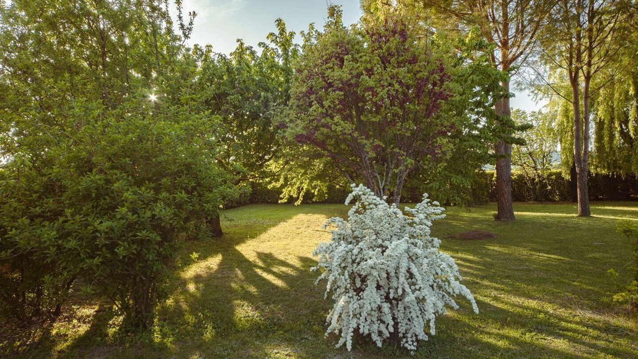 Photo of Outdoor in Roynac