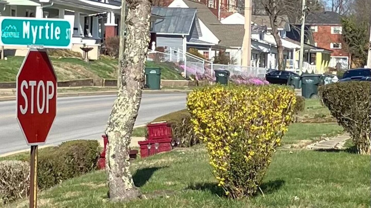Photo of Others in Greeneville