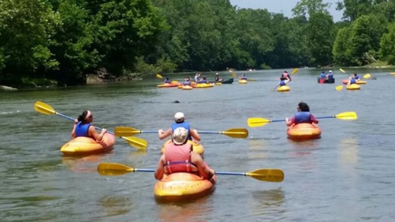 Photo of Others in McGaheysville