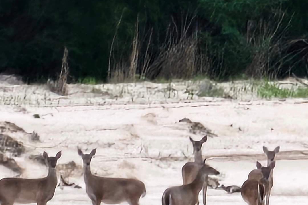 Photo of Others in Spring