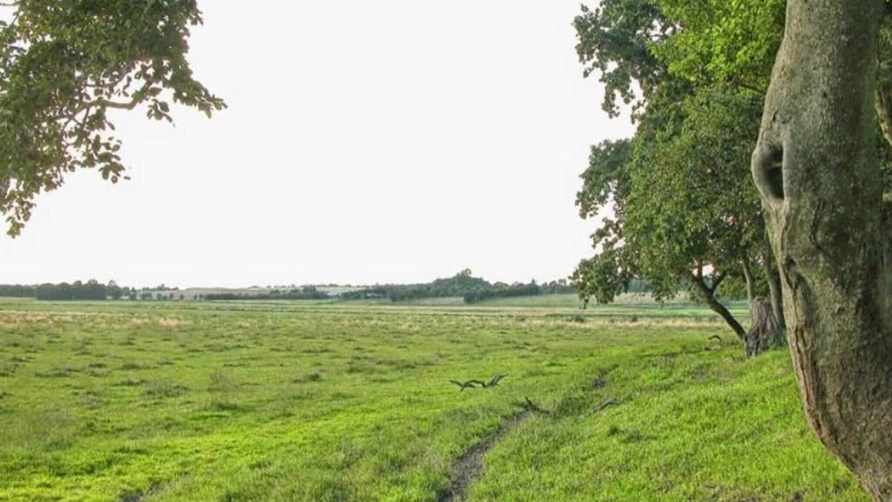 Photo of Outdoor in Gera
