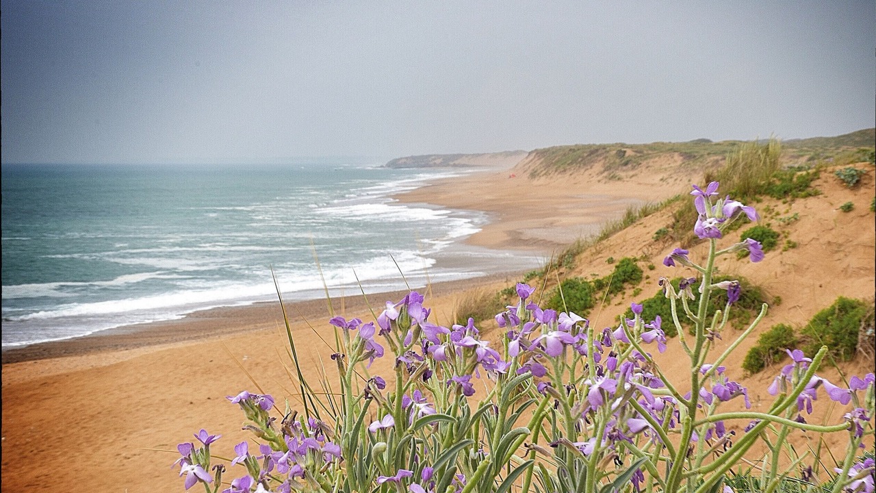 Photo of Others in Brem Sur Mer