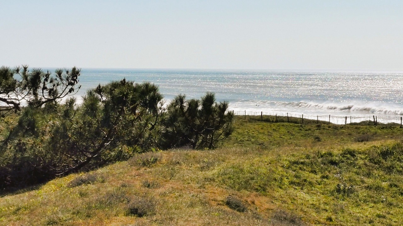 Photo of Others in Brem Sur Mer