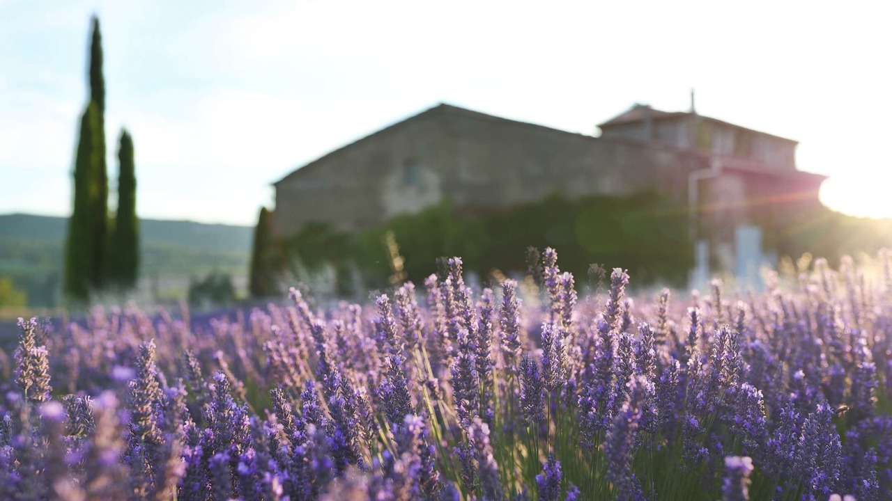 Photo of Outdoor in Saint-Martin-de-Castillon