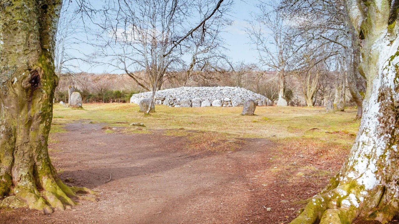 Photo of Others in Drumnadrochit