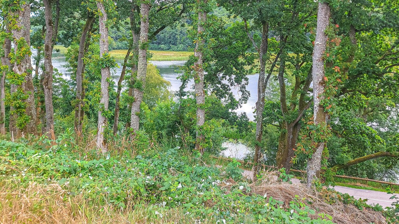 Photo of Others in Krejbjerg