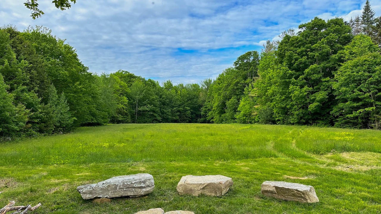 Photo of Outdoor in Weston