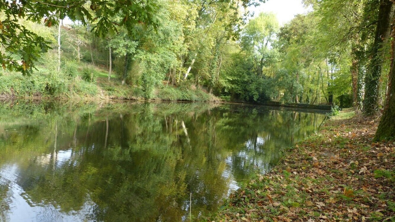 Photo of Others in Azay-le-Brule