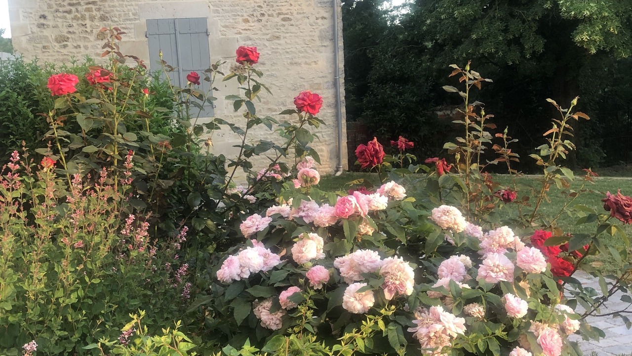 Photo of Outdoor in Azay-le-Brule