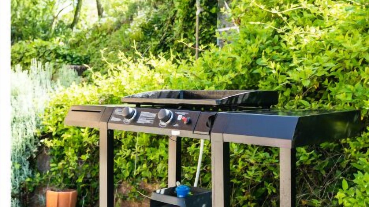 Photo of Outdoor in Payrac