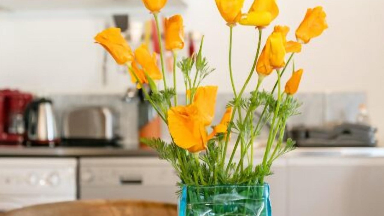 Photo of Kitchen in Payrac