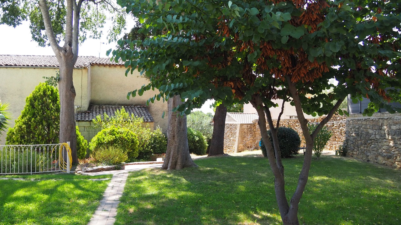 Photo of Outdoor in Castries