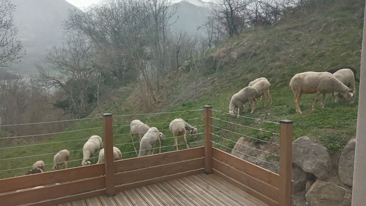 Photo of Others in Sazos