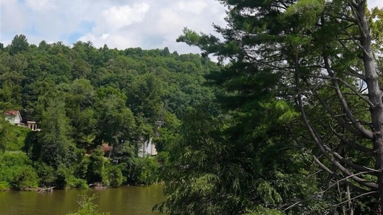 Photo of Others in Bryson City